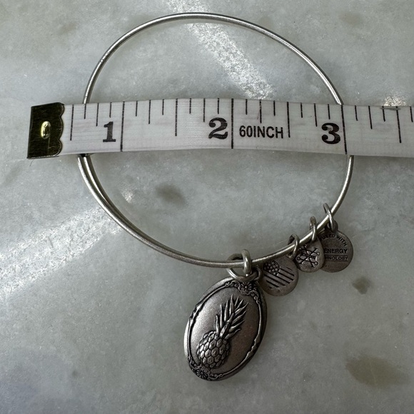 Alex and Ani Pineapple bangle bracelet Rafaelian silver - Picture 5 of 5